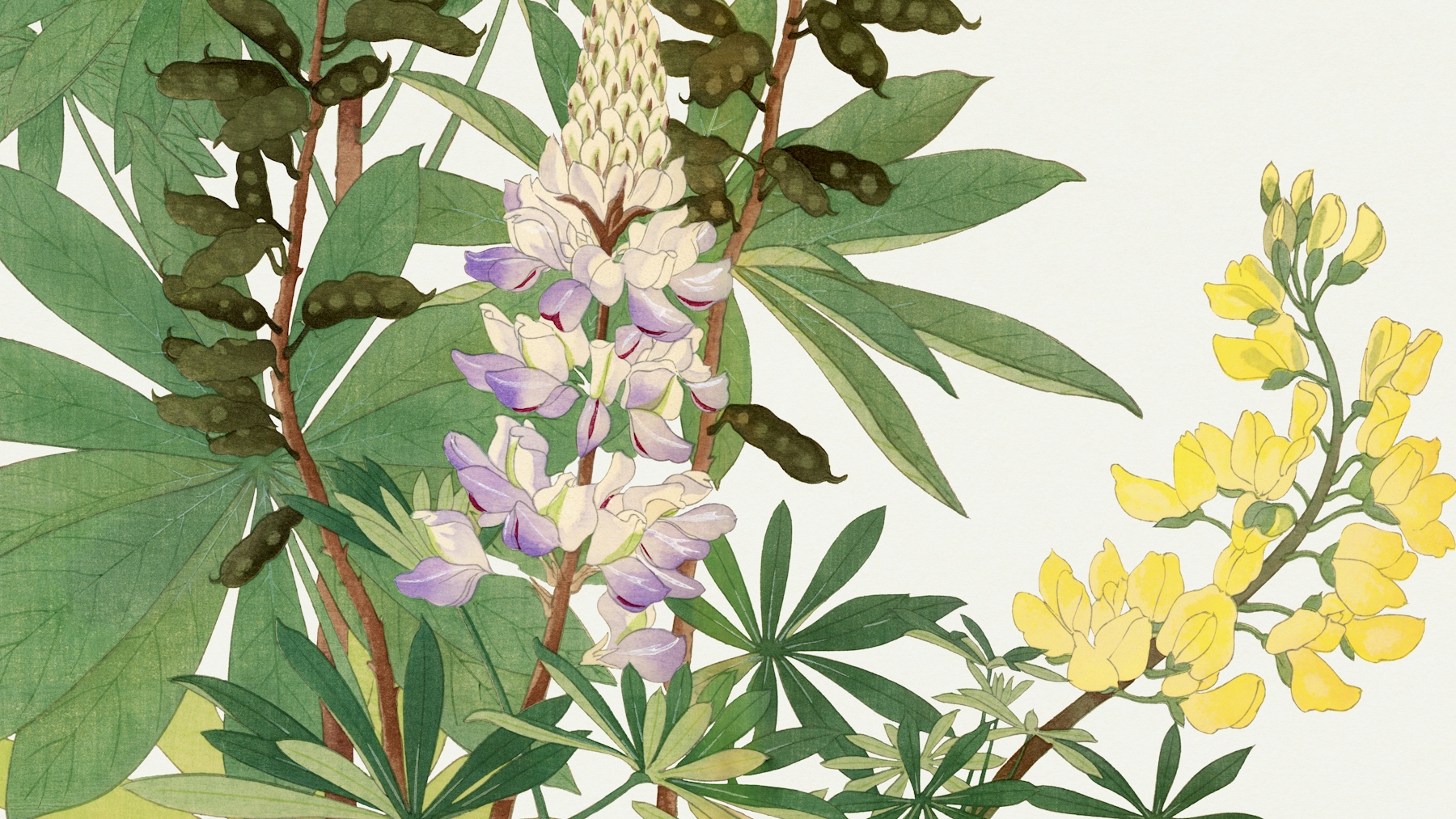 “Bring a Vintage Vibe to Your Home with Wild Flower Wallpaper | Happywall”