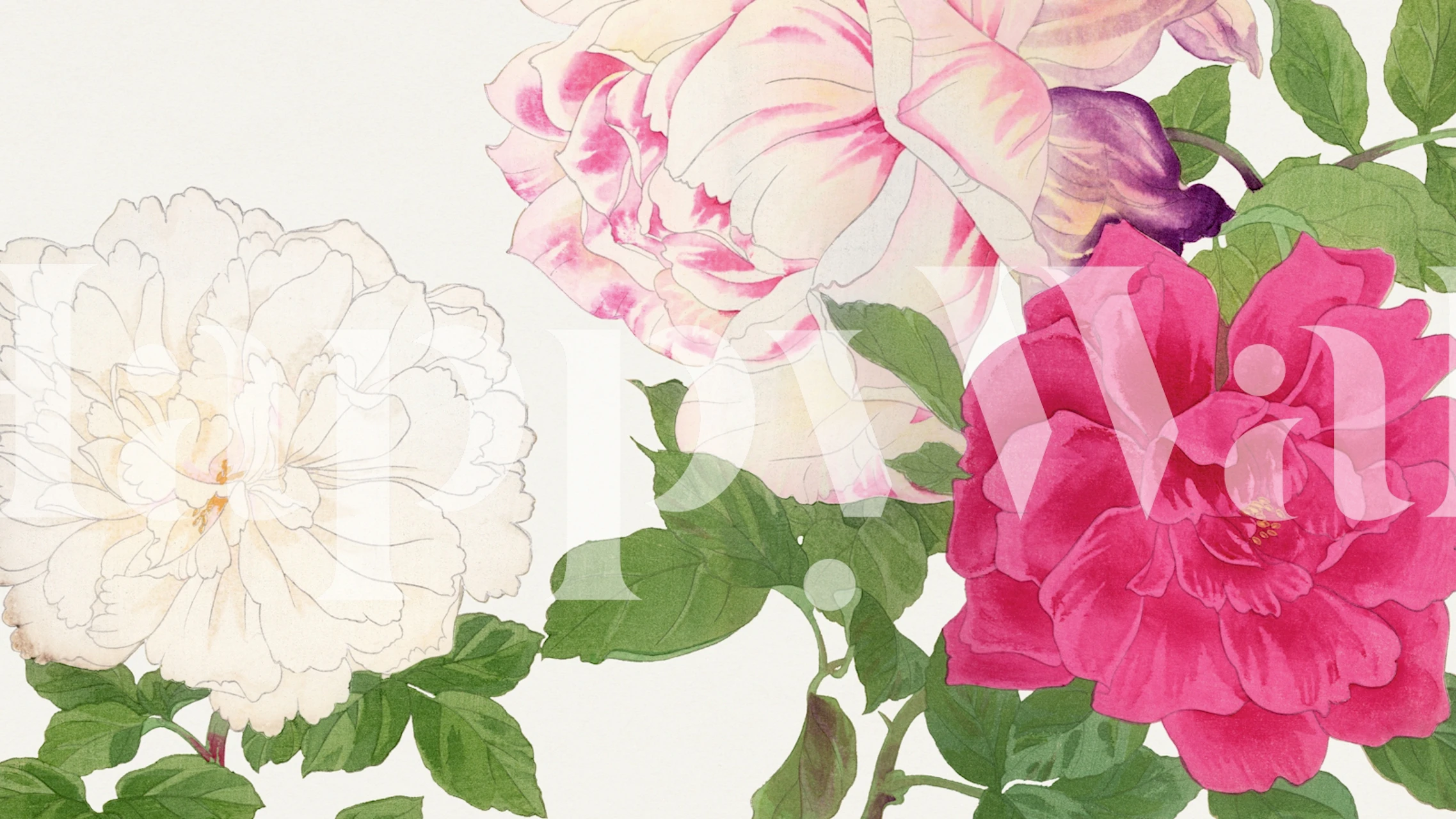Pink floral vintage wallpaper featuring peony flowers with green leaves