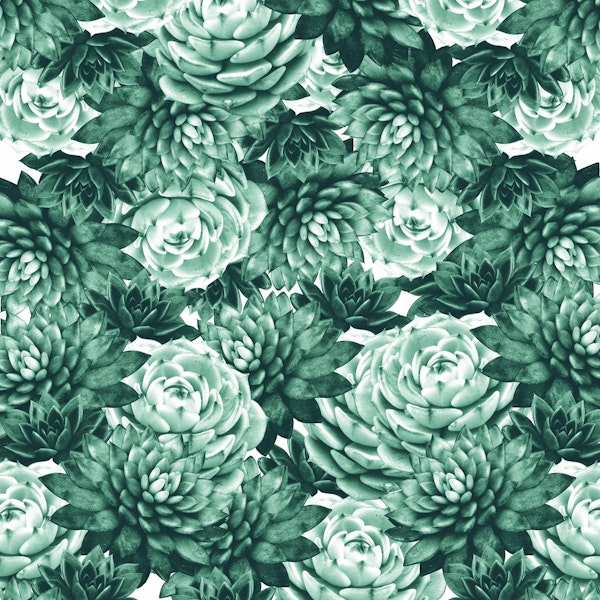 Succulents Pattern 1