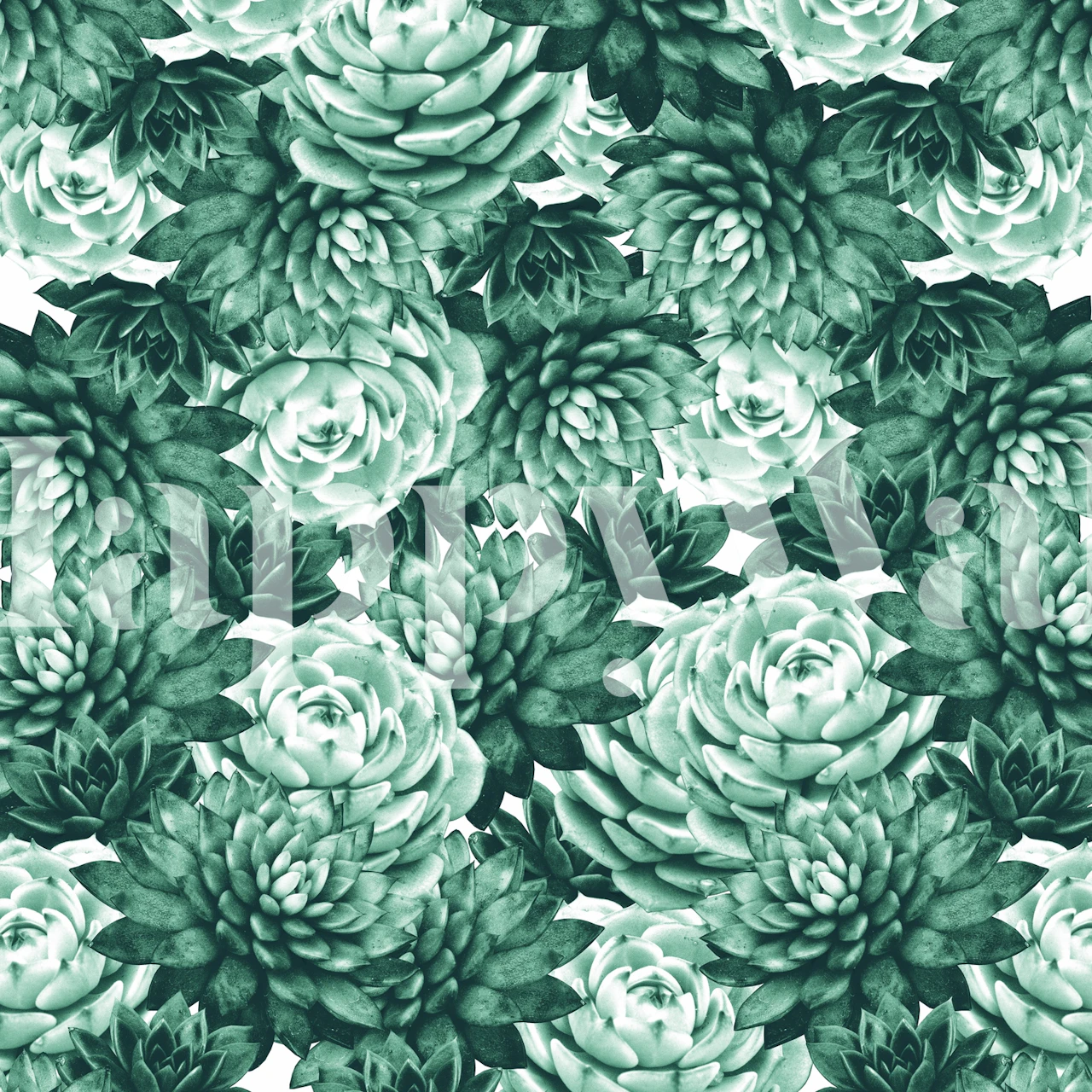 Succulents pattern wallpaper in a room