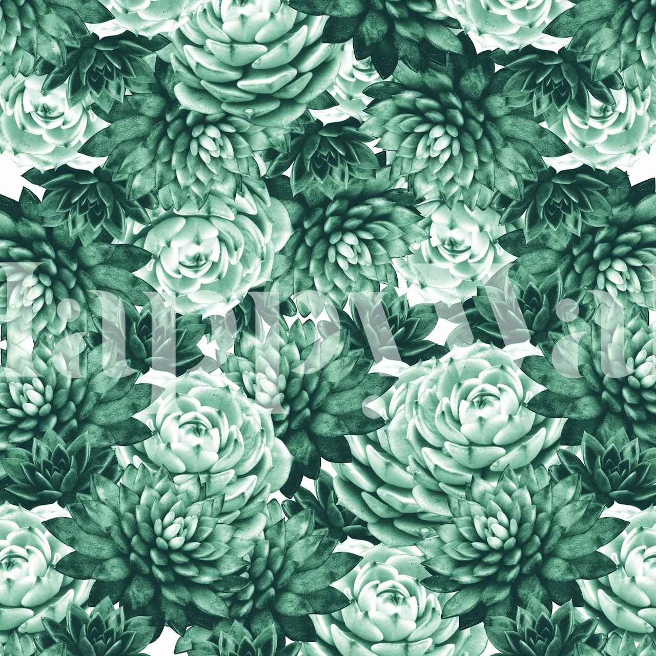 Succulents pattern wallpaper in a room