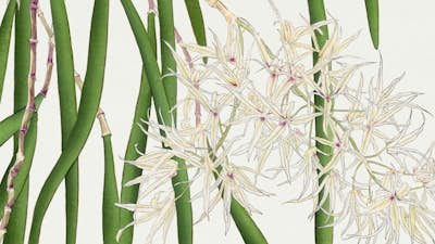 Τοιχογραφία