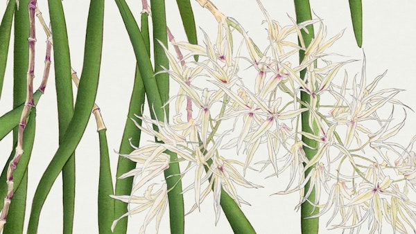 Tropical Vintage Floral