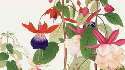 Τοιχογραφία