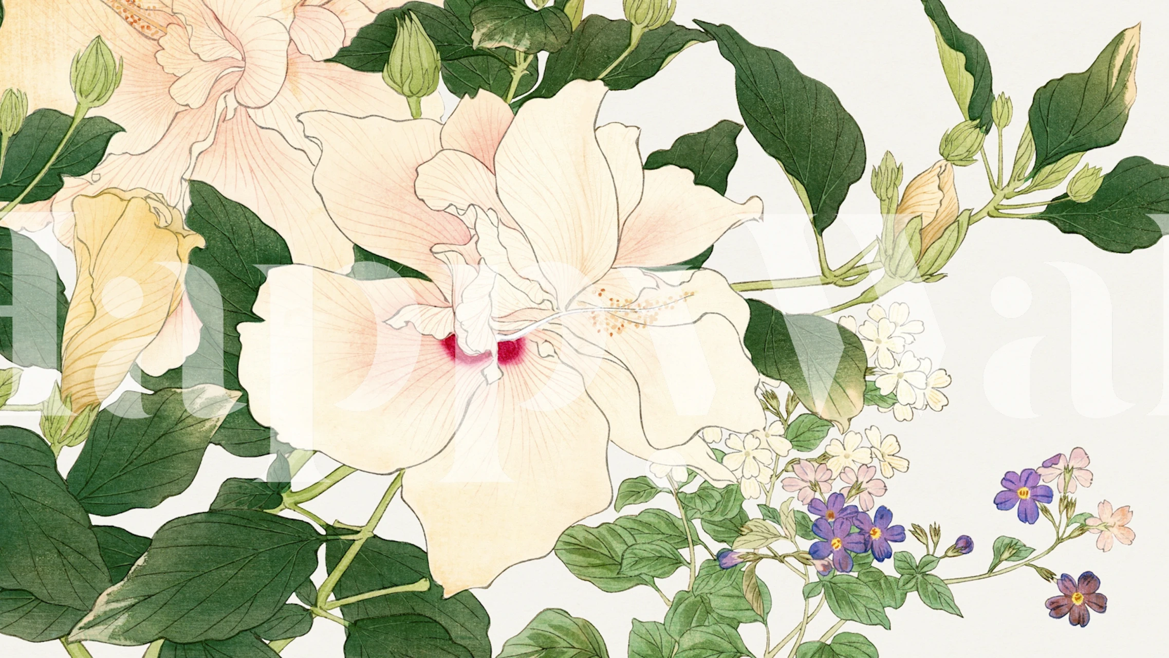 Beautiful floral vintage blossoms tapet