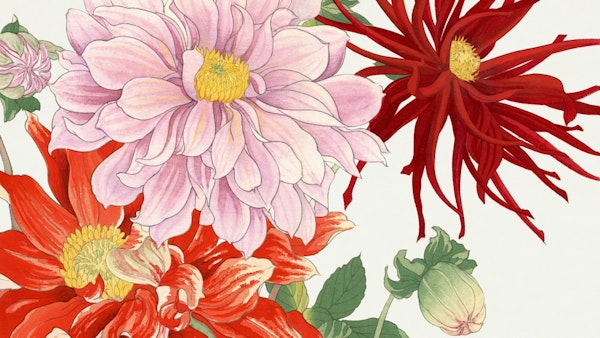 Vintage Summer Florals