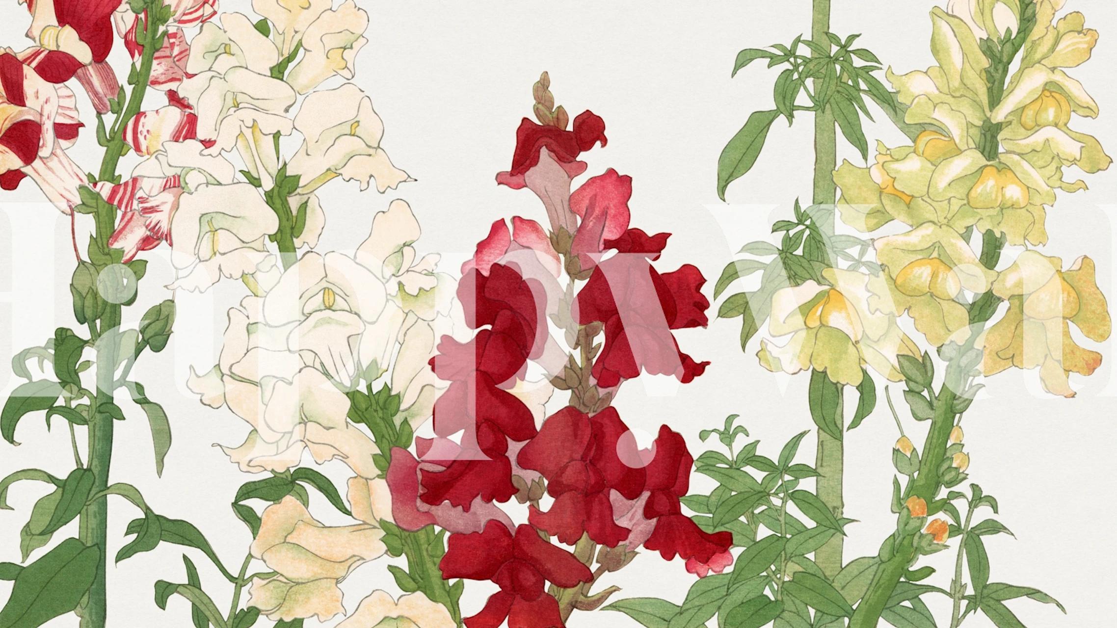 Vintage Spring Florals carta da parati in una stanza