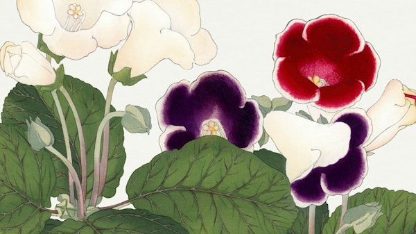 Japanese Spring Floral