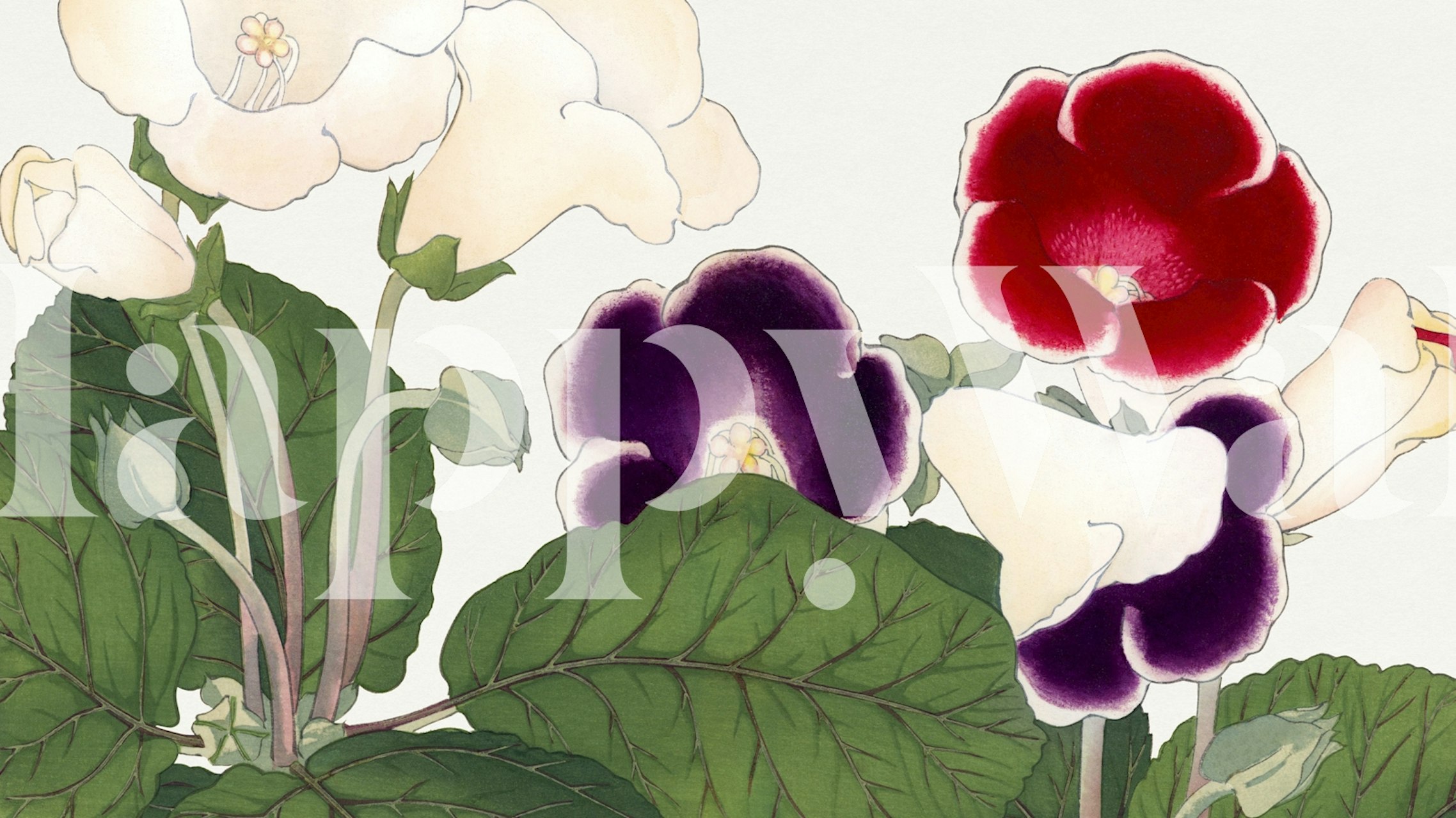 Japanese floral wallpaper featuring colorful flowers and lush greenery