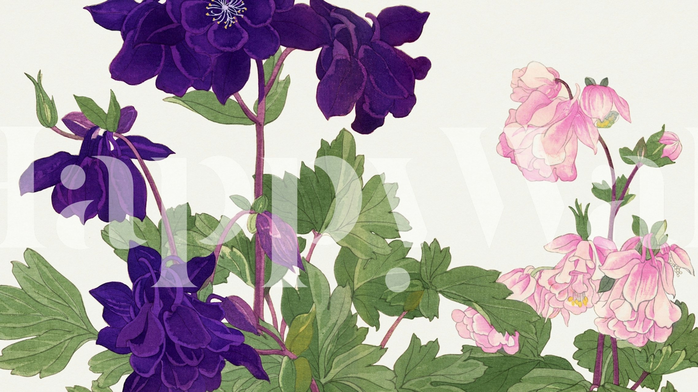 Scandinavian-inspired Scandi Gardens wall mural with purple and pink flowers