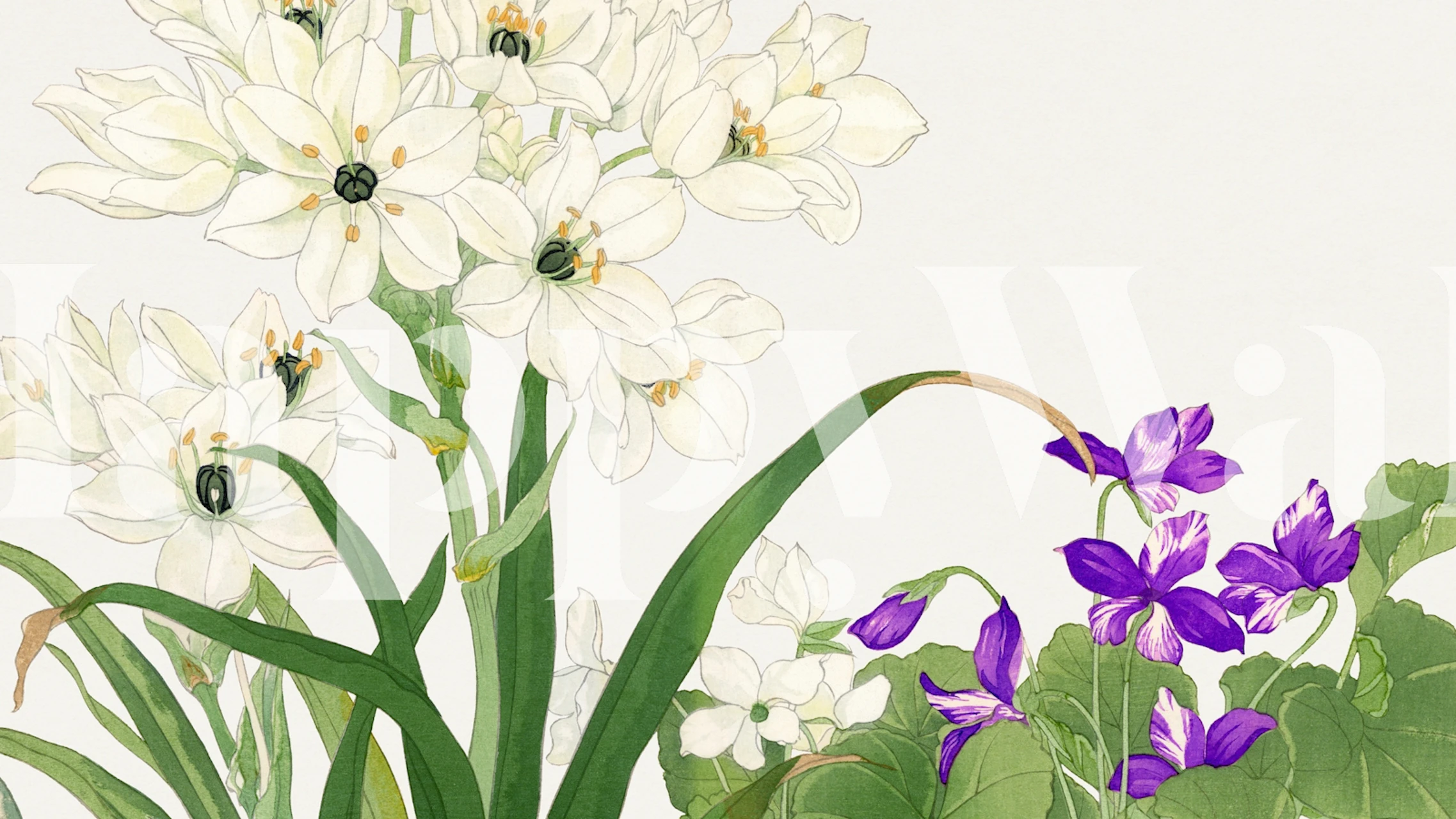 White flowers and purple violets on a light background, floral wallpaper