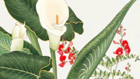 Tropical Floral tapete