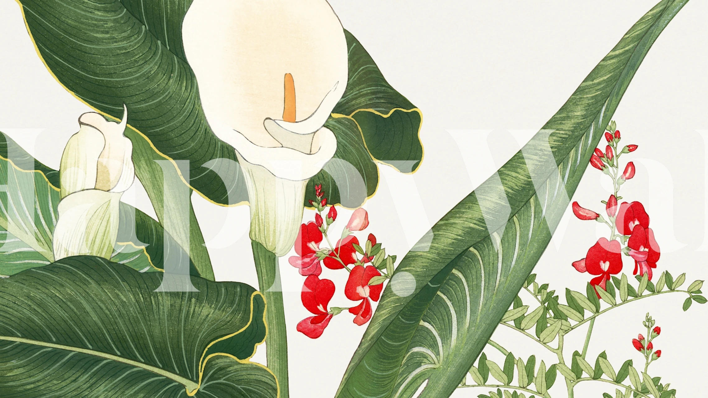 Tropical Floral wallpaper displayed in a room