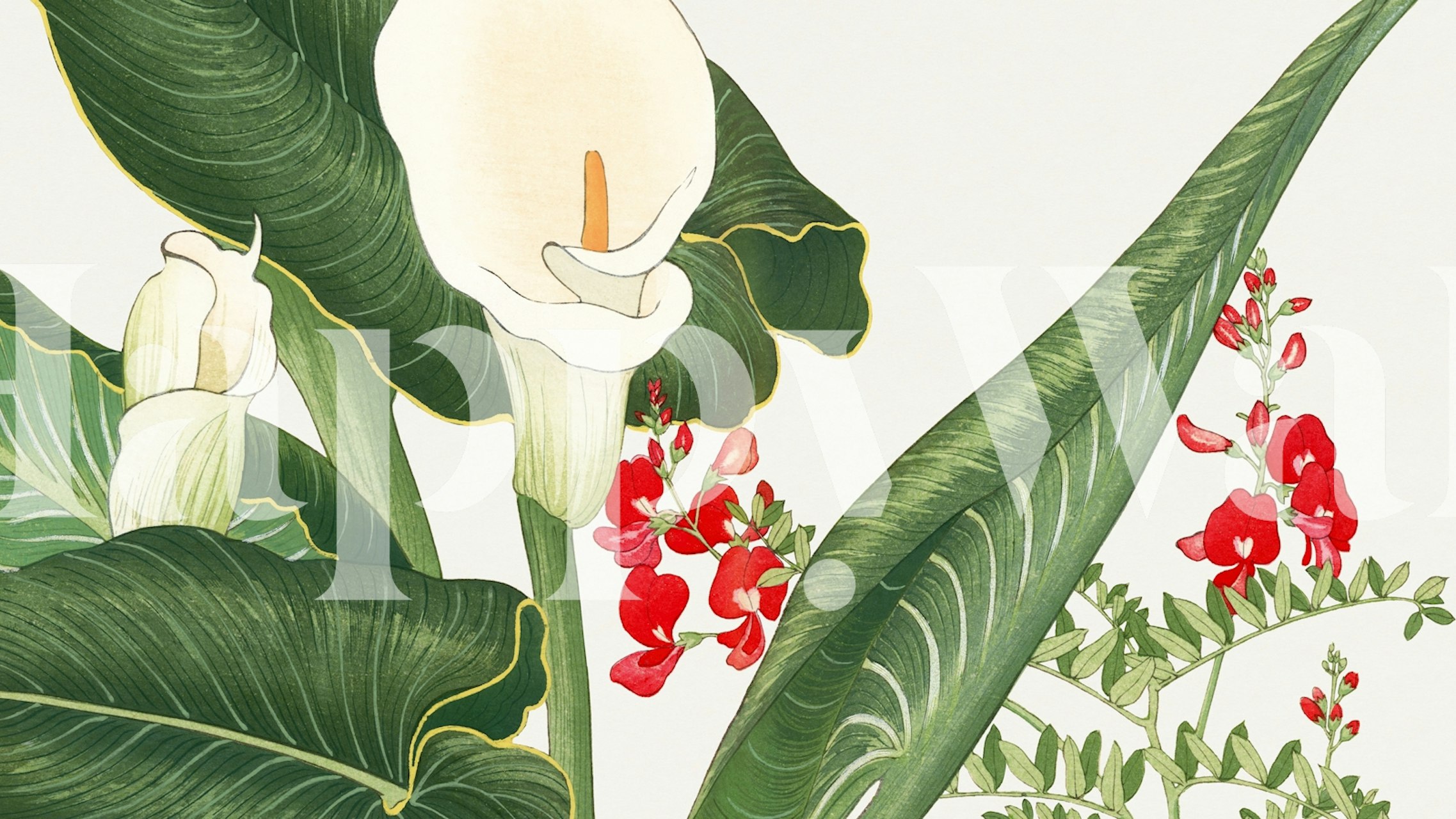 Tropical Floral wallpaper displayed in a room