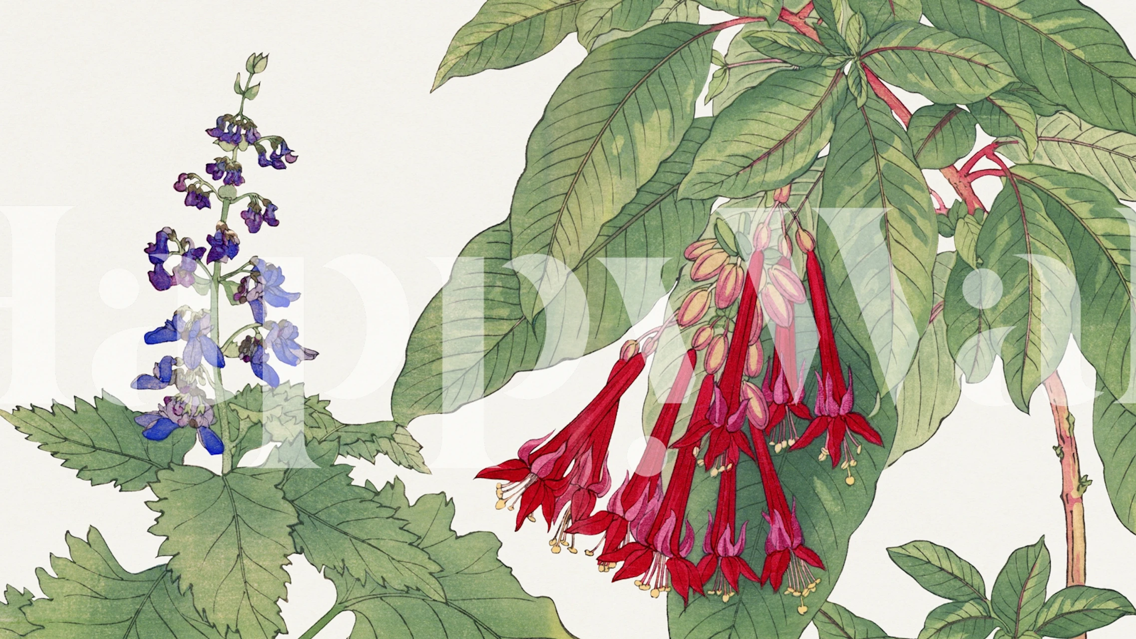 Colorful red and blue flowers with green leaves wallpaper