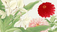 Asia Lilies Floral wallpaper