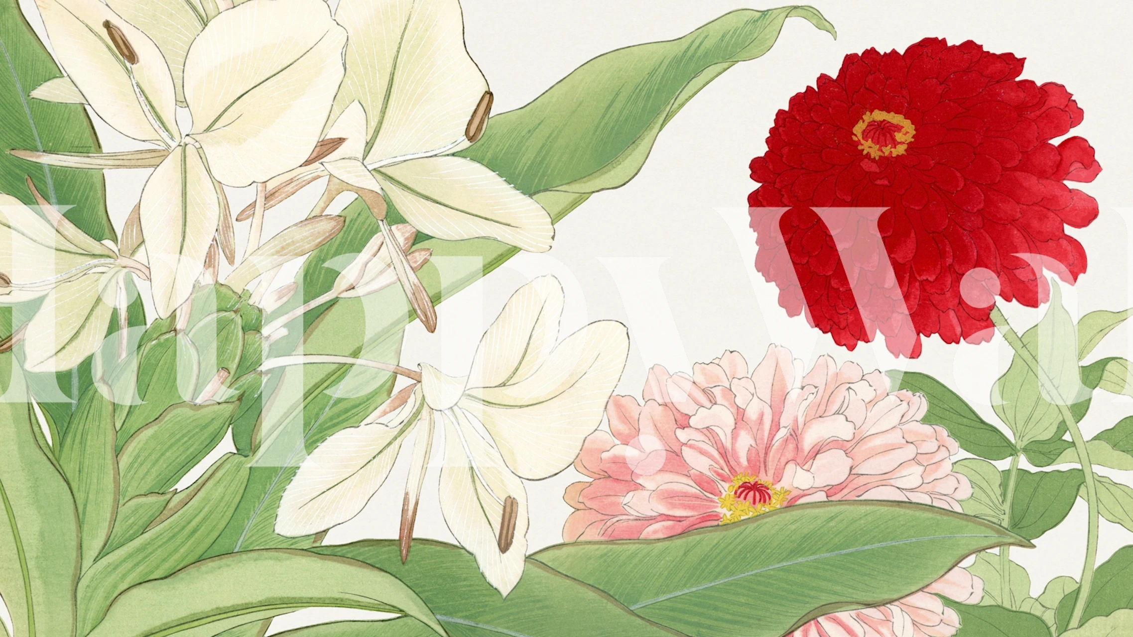 Asia Lilies Floral wall mural with red, white and pink flowers