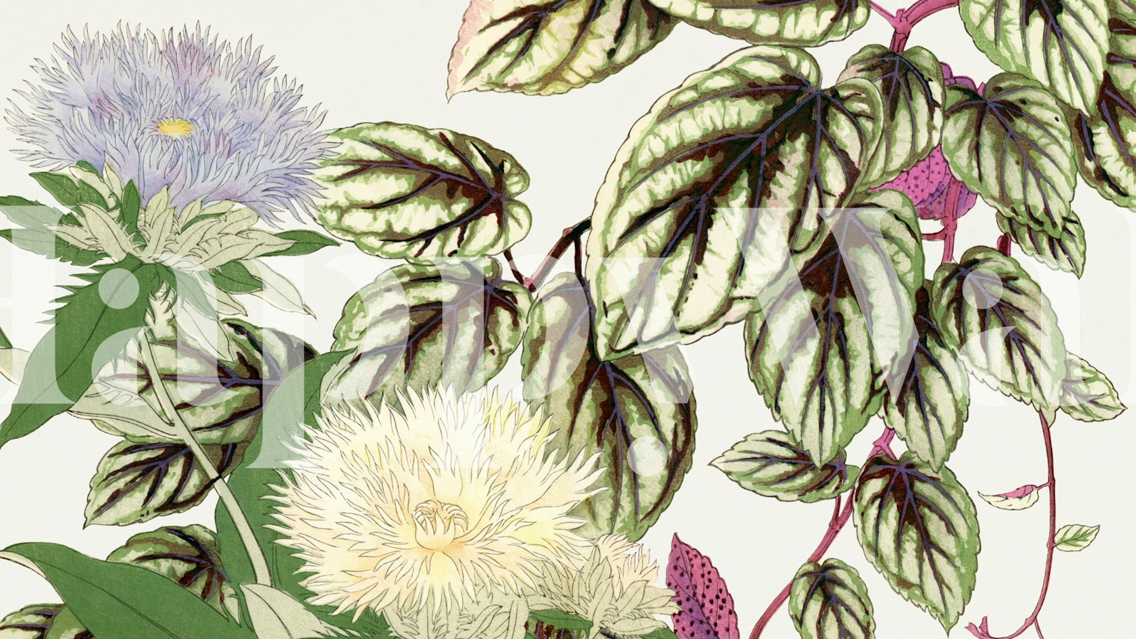 Botanical Asia Floral wallpaper in a room