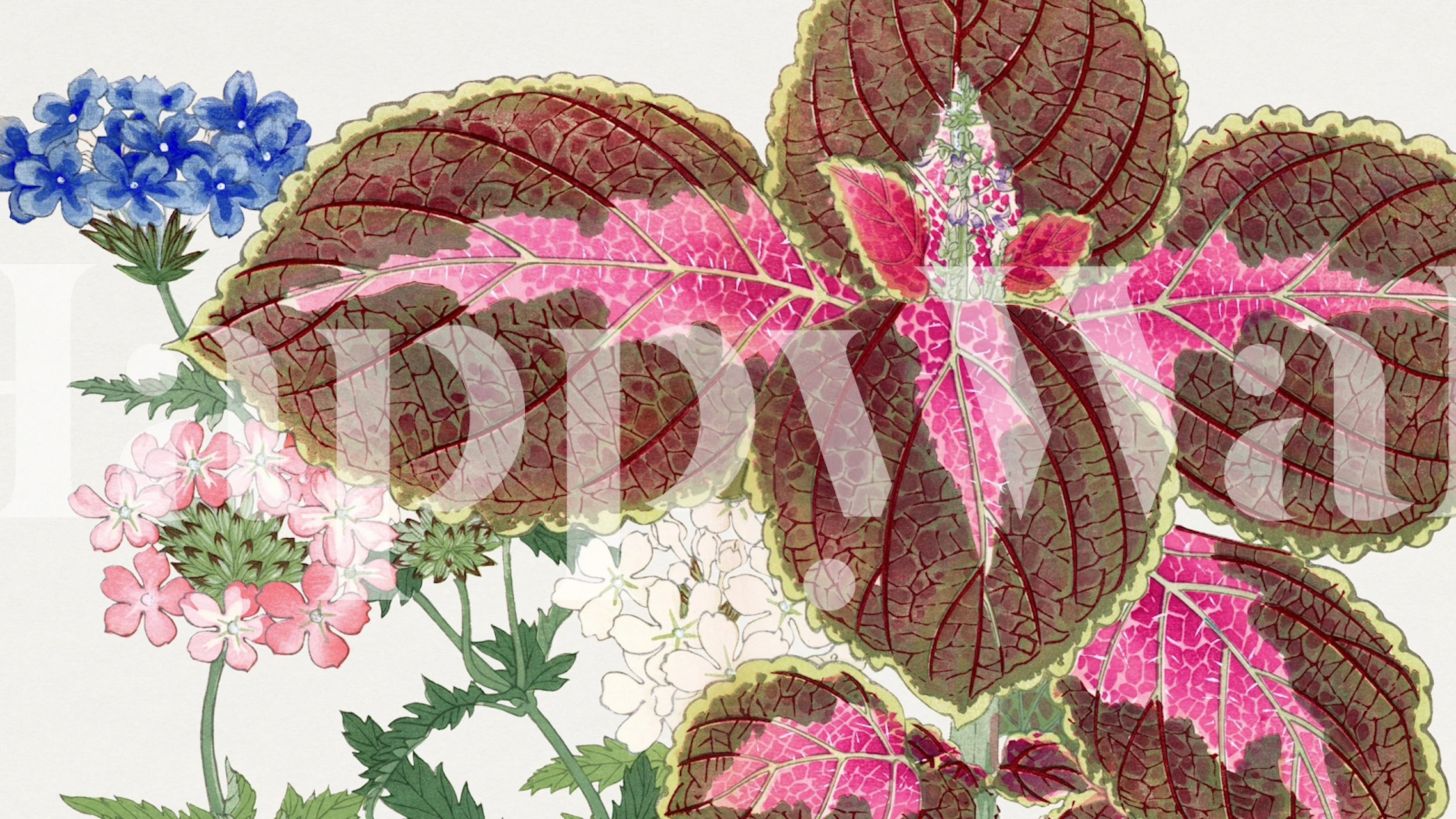 Getextureerde illustratie van een Aziatisch geïnspireerde tuin met pastelkleurige bloemen en bladeren.