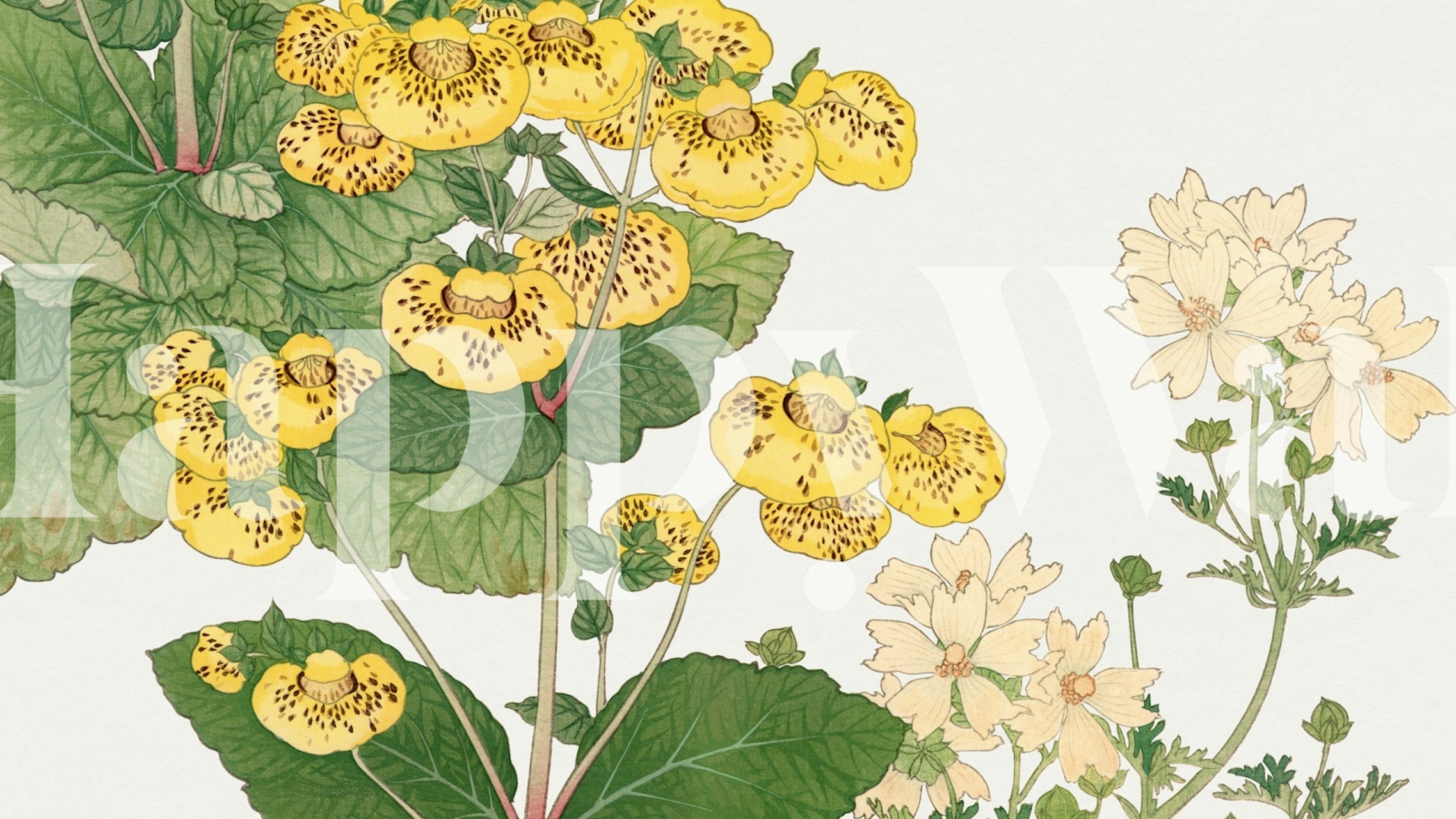 Japanese Snapdragon Floral wallpaper in a room