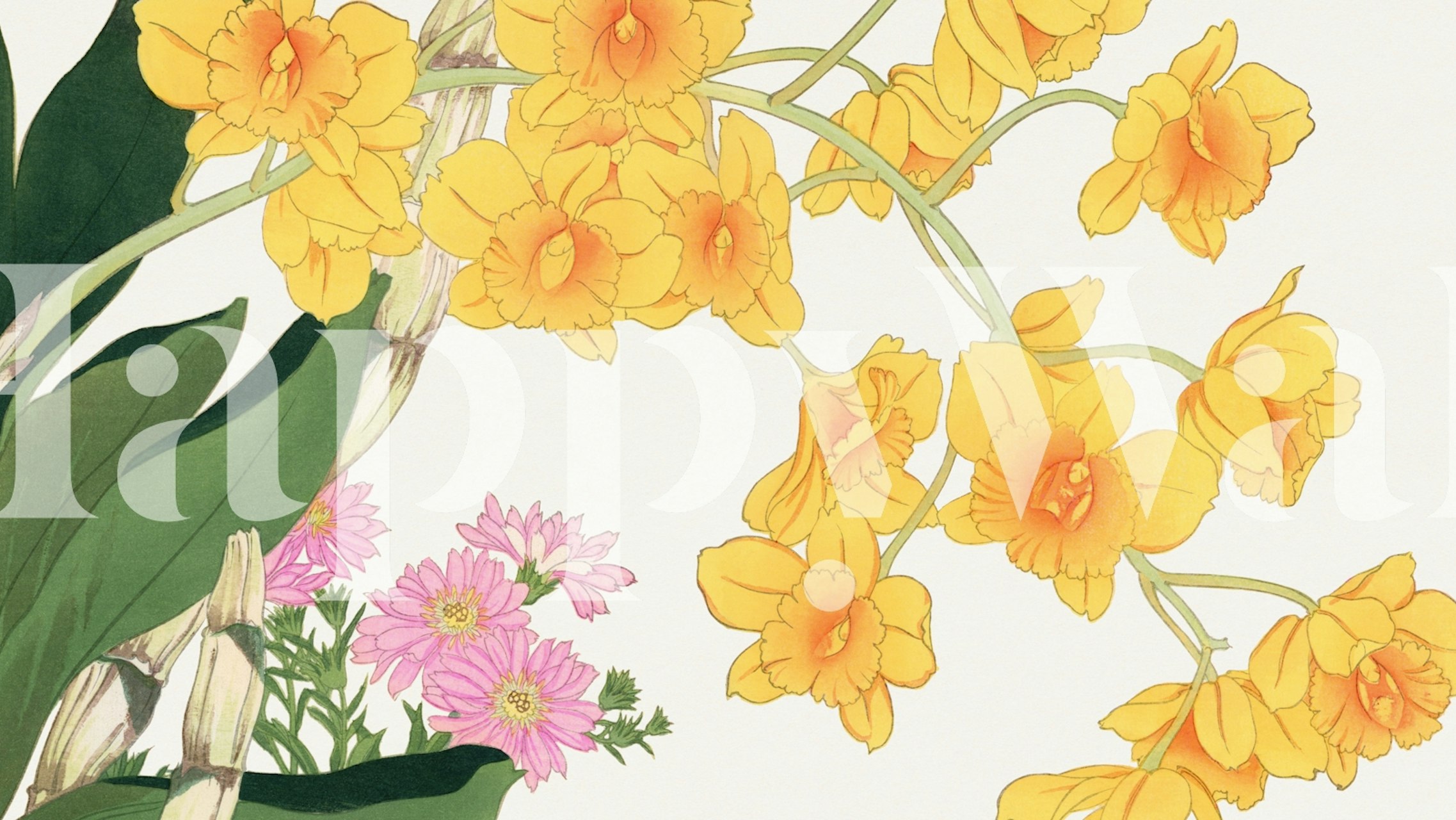 Τοιχογραφία Japanese Narcissus και ροζ λουλούδια