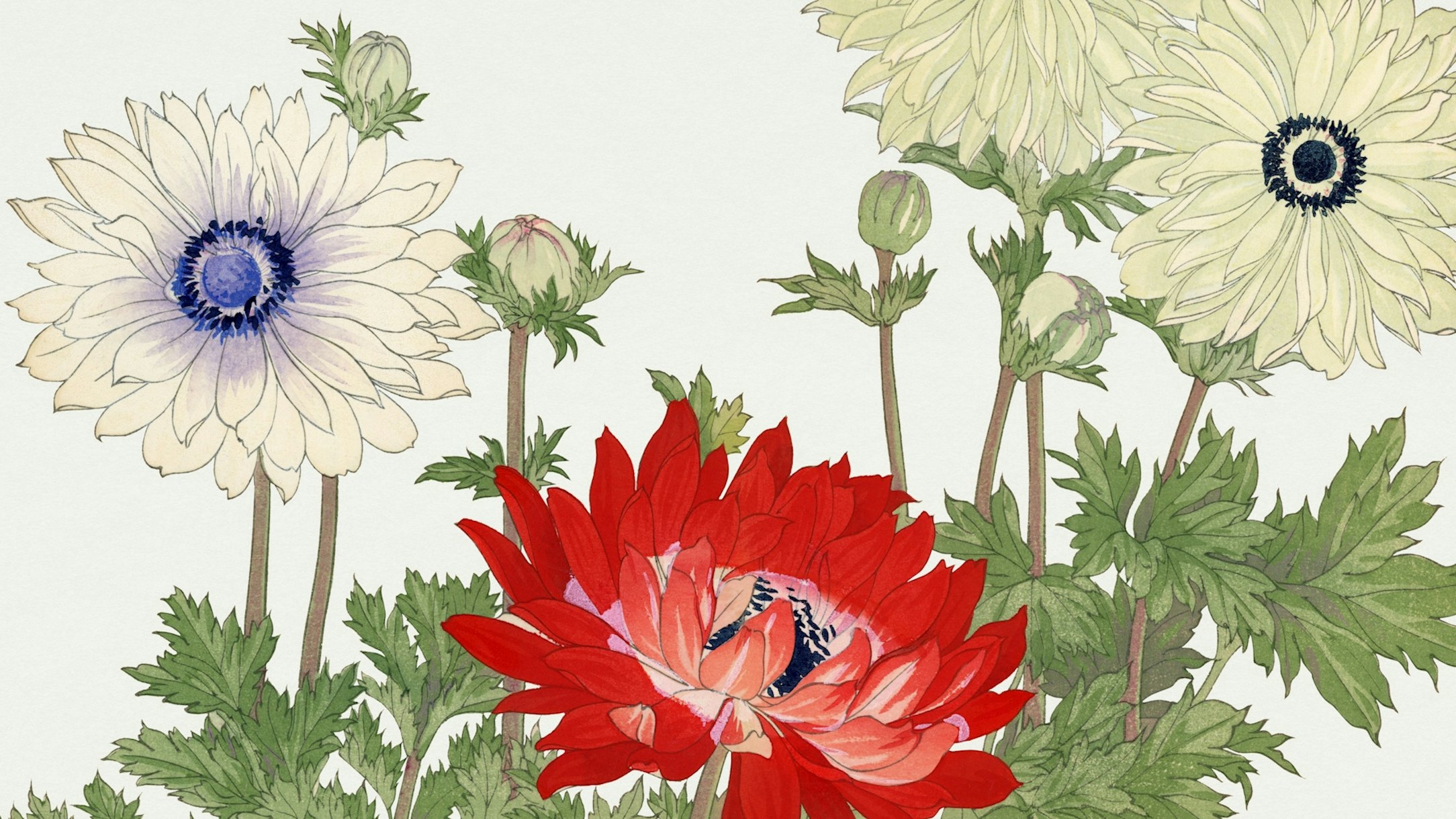 Vintage Japanese Floral Wallpaper Happywall