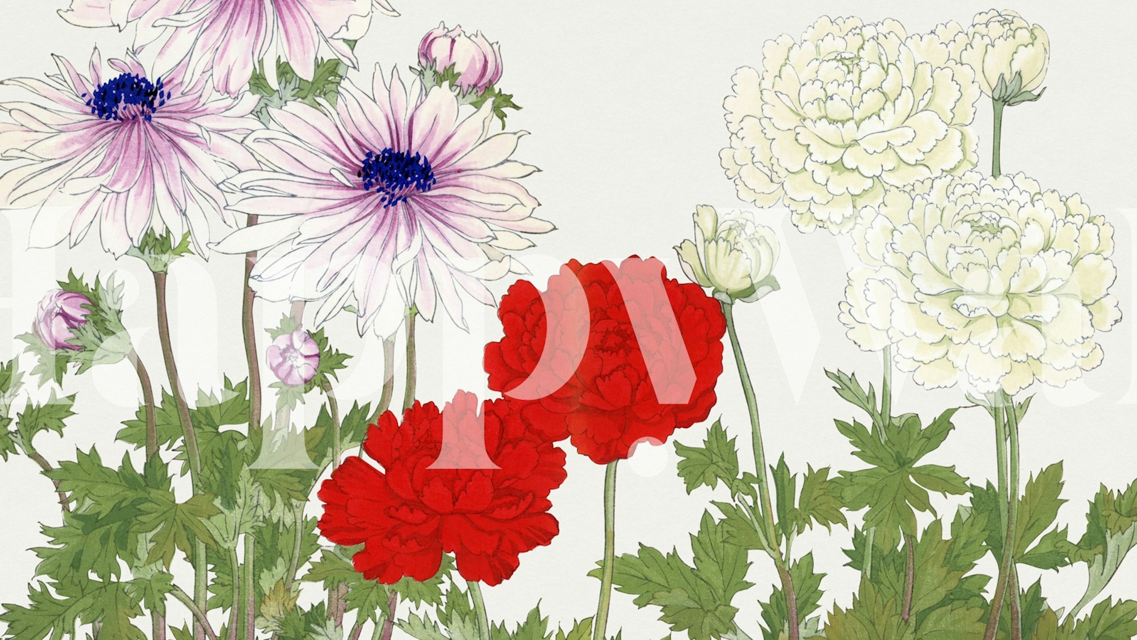 χαλί Japan Florals σε ένα δωμάτιο