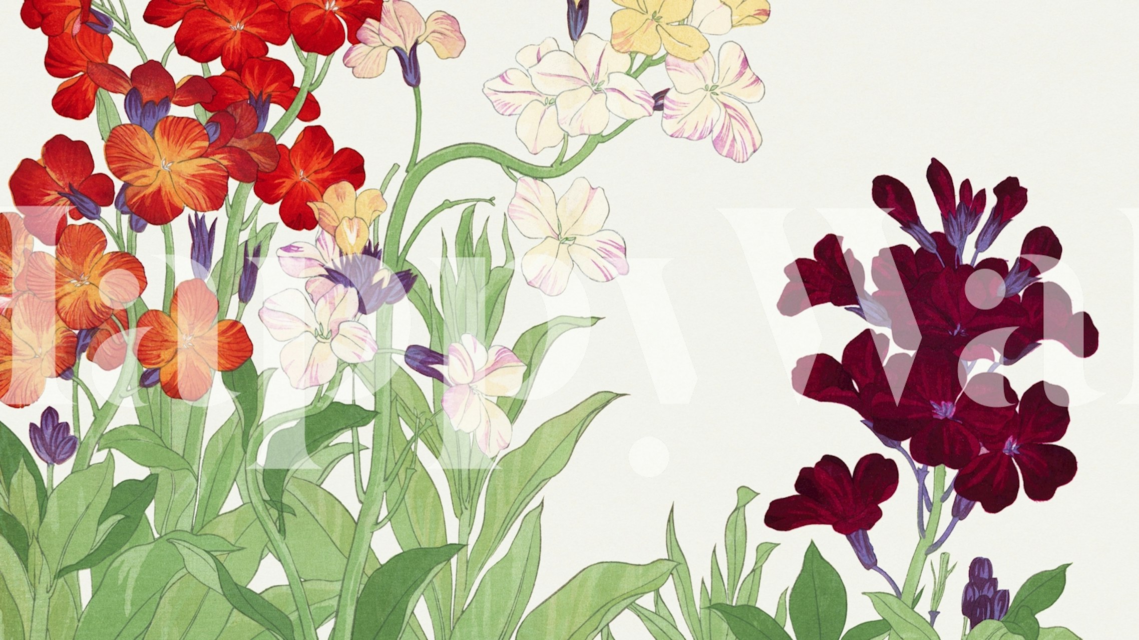 Colorful floral design with red, yellow, and purple flowers on a light background wallpaper