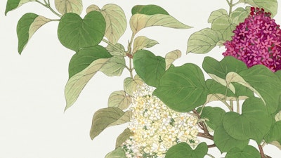 Mural