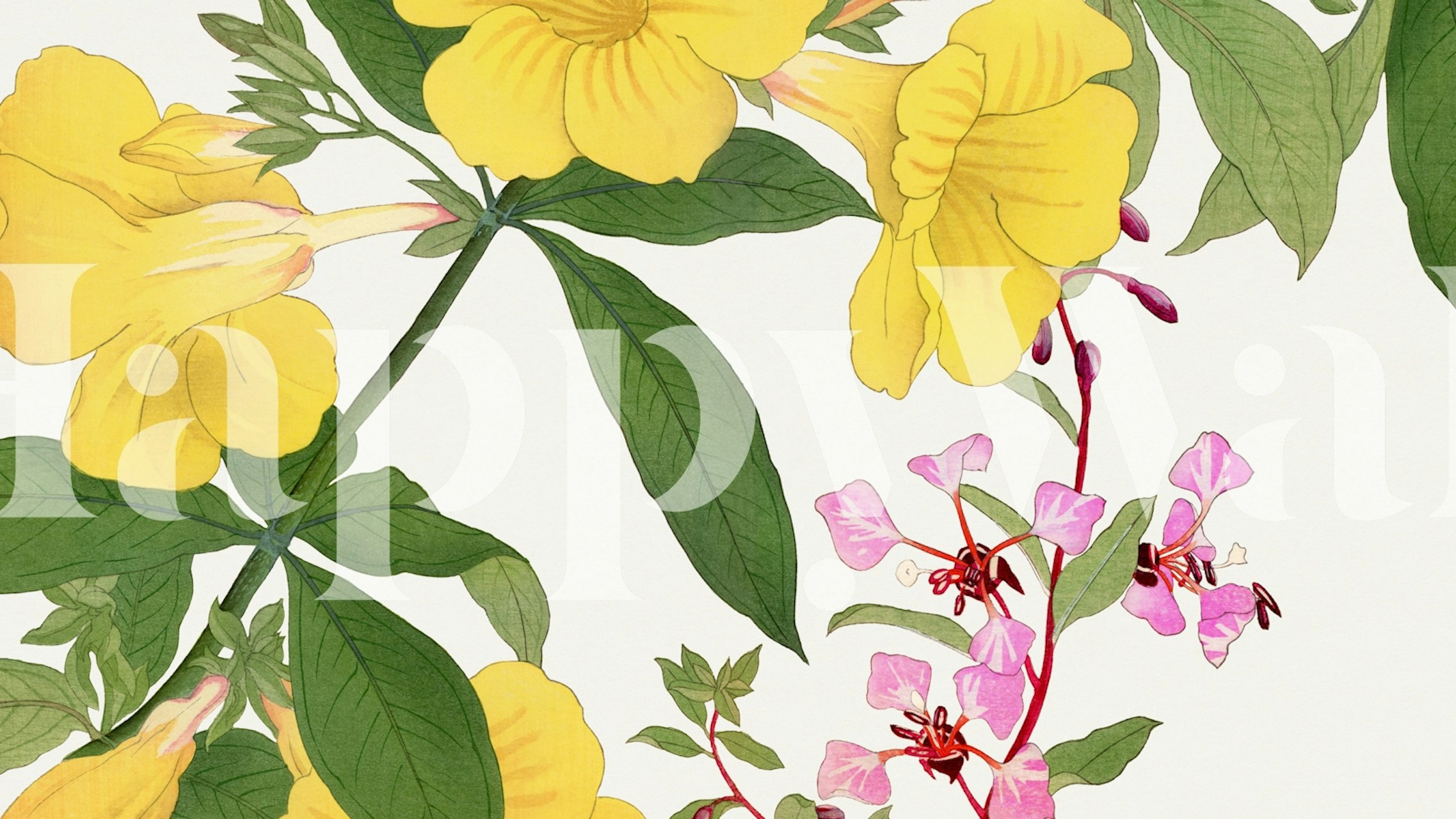 Lush yellow and pink flowers with green leaves on a Japan Summer Floral wall mural