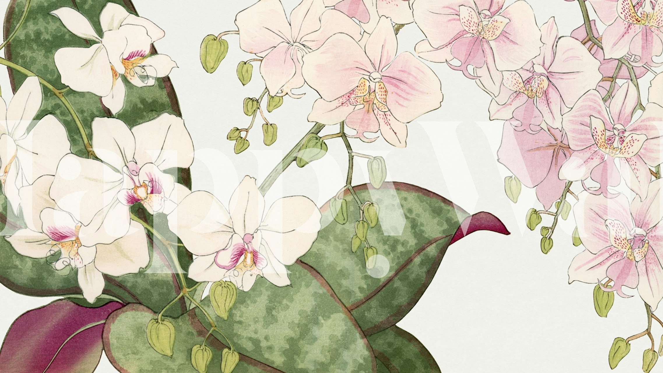 Papier peint mural élégant avec fleurs rose blush et feuilles vertes de Happywall