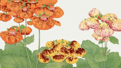 Mural