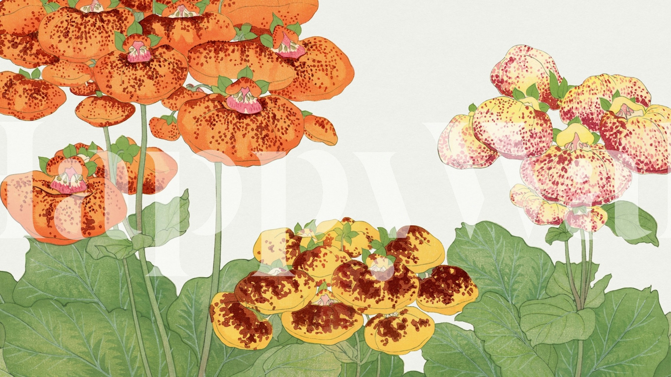 Whimsical Japan Floral wallpaper in a room