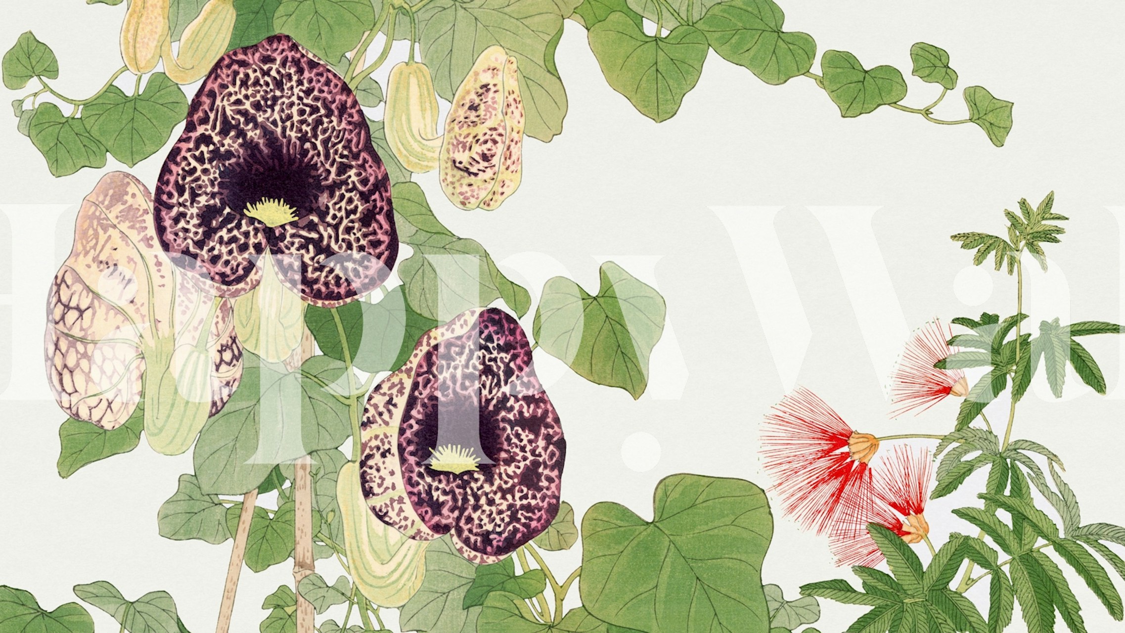 Purple floral design with green leaves and accents wallpaper