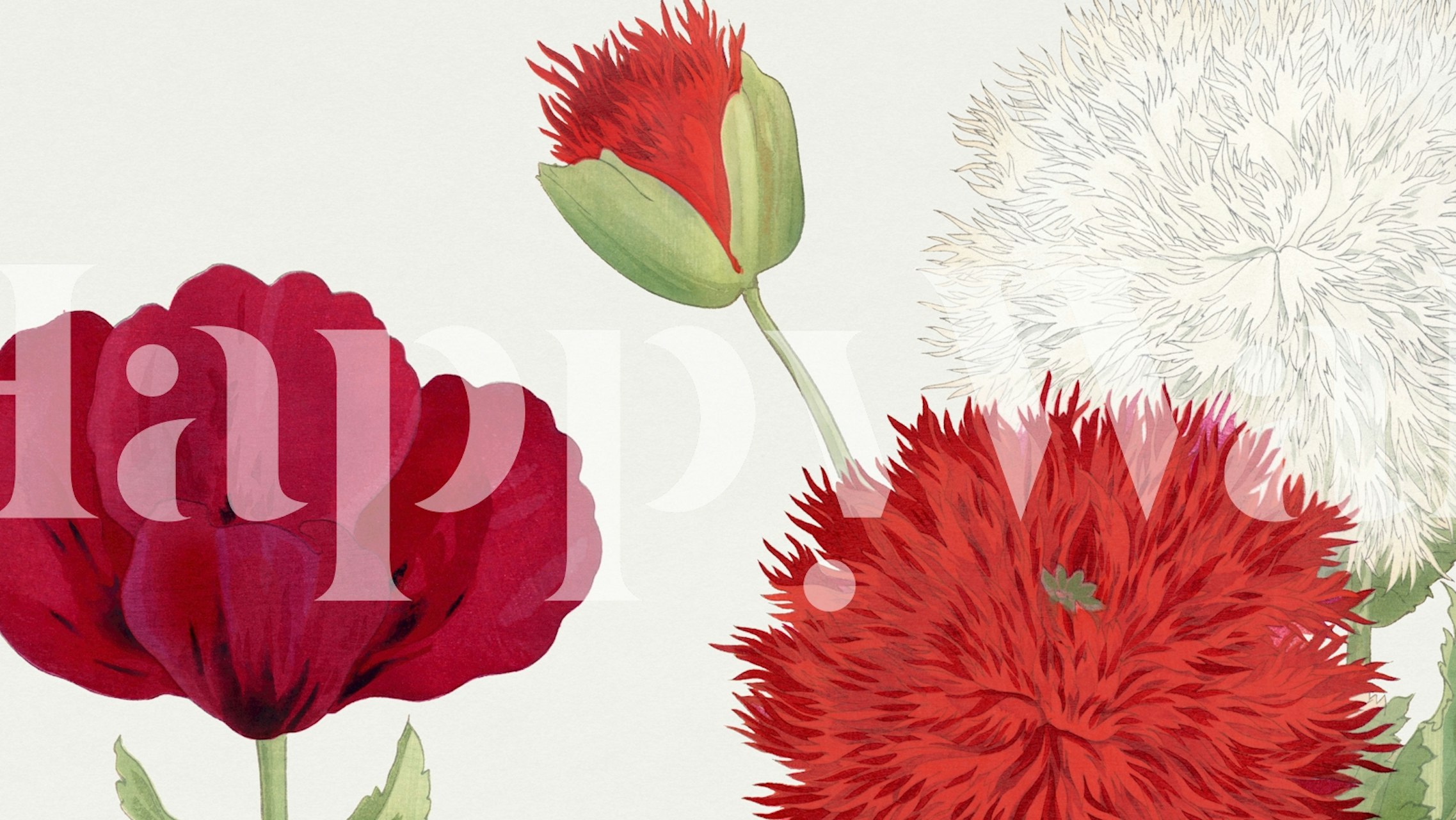 Αυτοκόλλητο τοίχου λουλουδιών με Japan Dhalia Floral σε ένα δωμάτιο