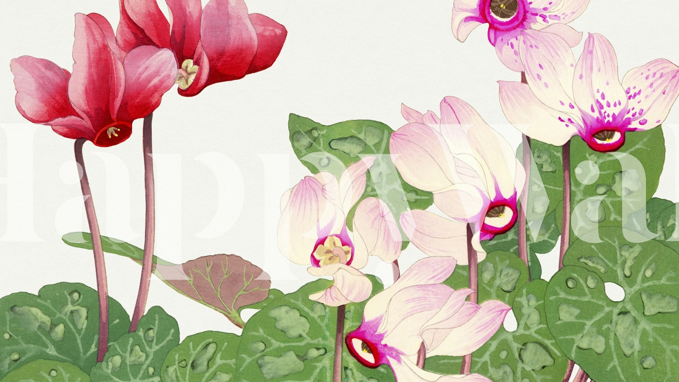 Japan Viola Floral wallpaper in a room