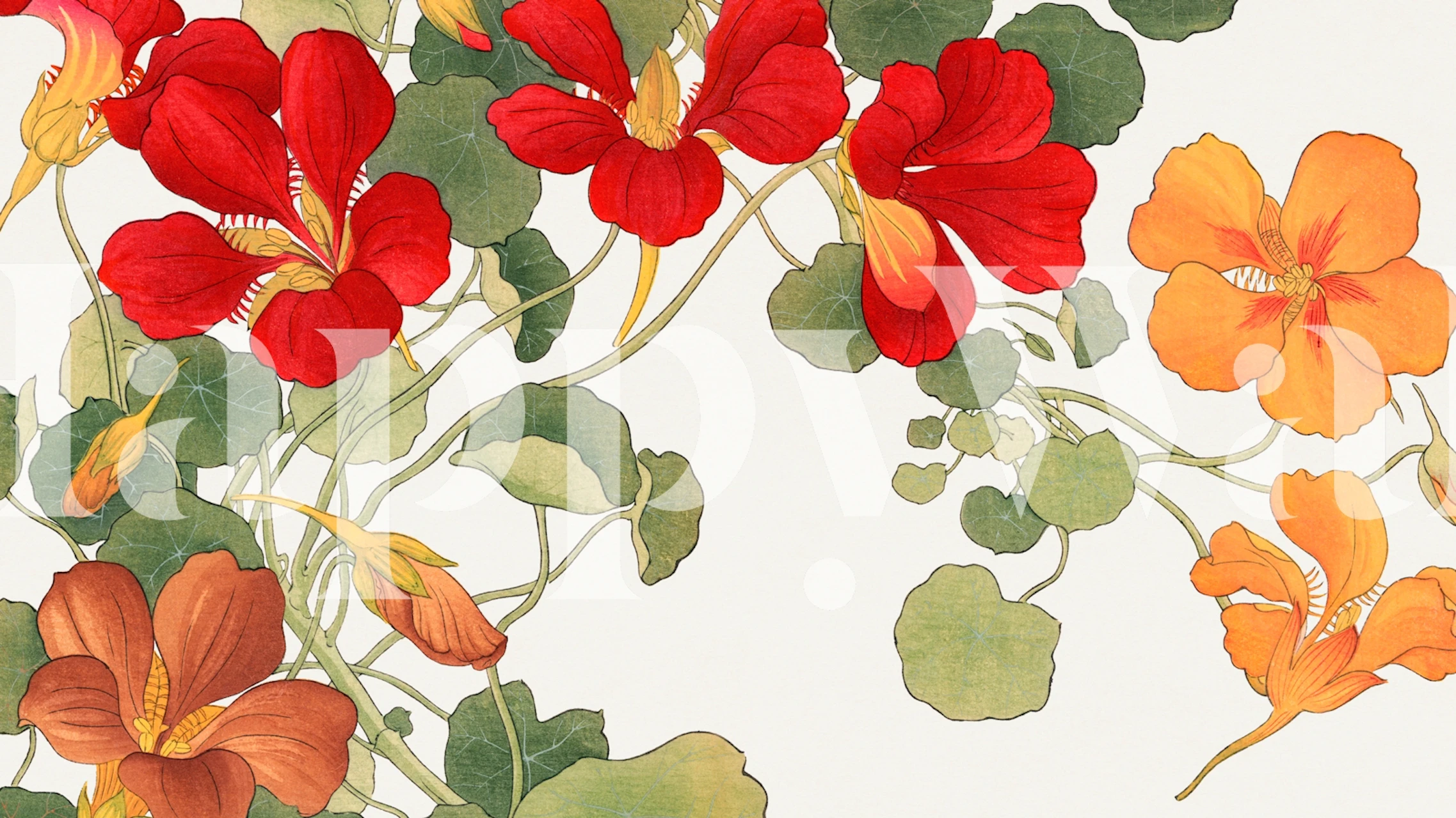 Rode en oranje bloemen met groene bladeren op lichte achtergrond wallpaper