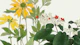 Natural Japan Floral