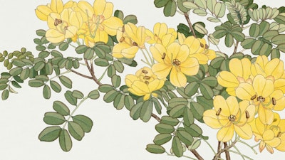 Mural