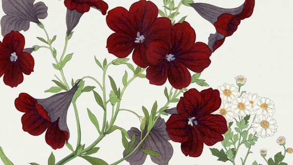 Vintage Japan Florals