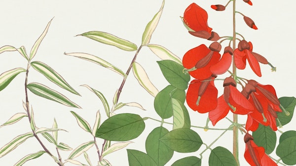 Vintage Florals Wallart