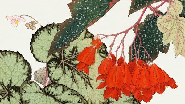 Exotic Vintage Floral