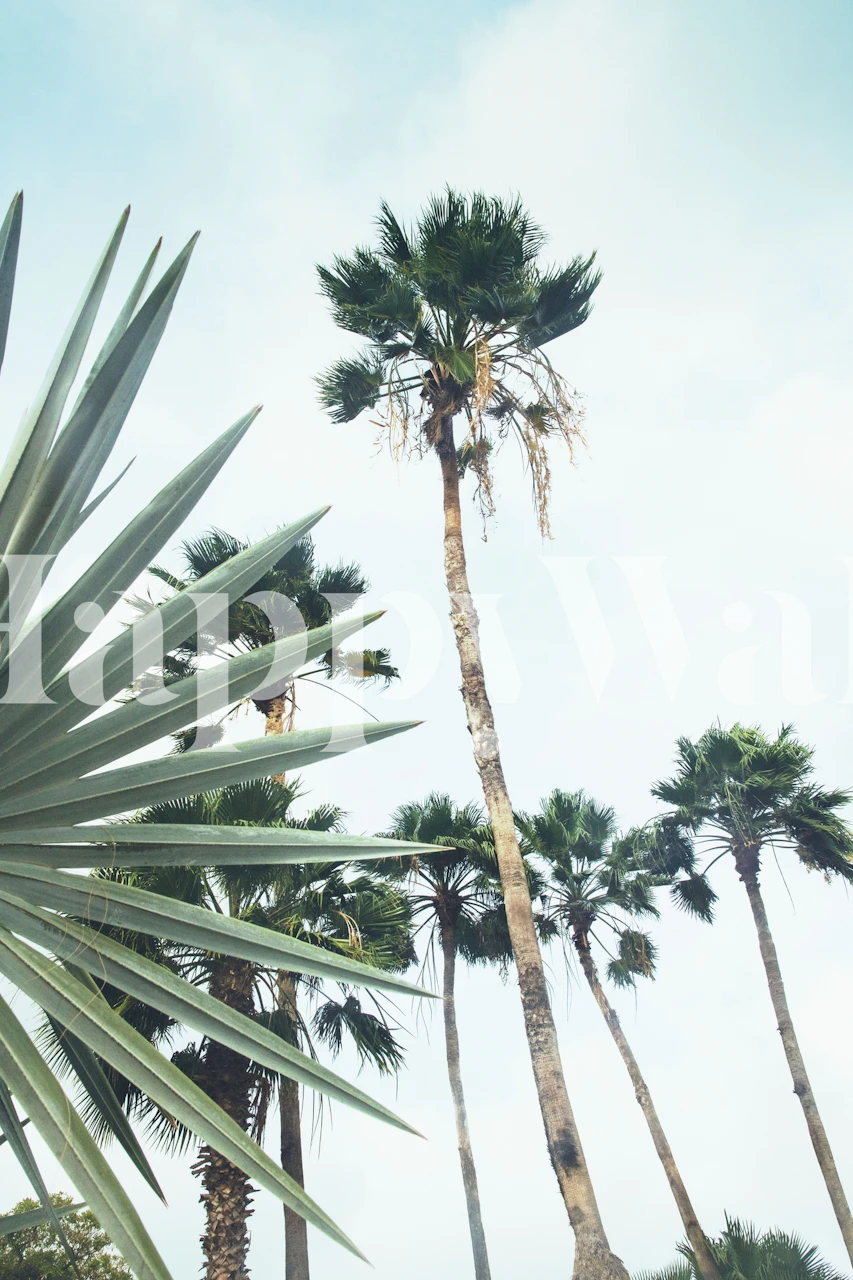 Tropical palm trees mural with a sky background