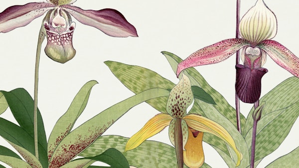 Asian Vintage Garden