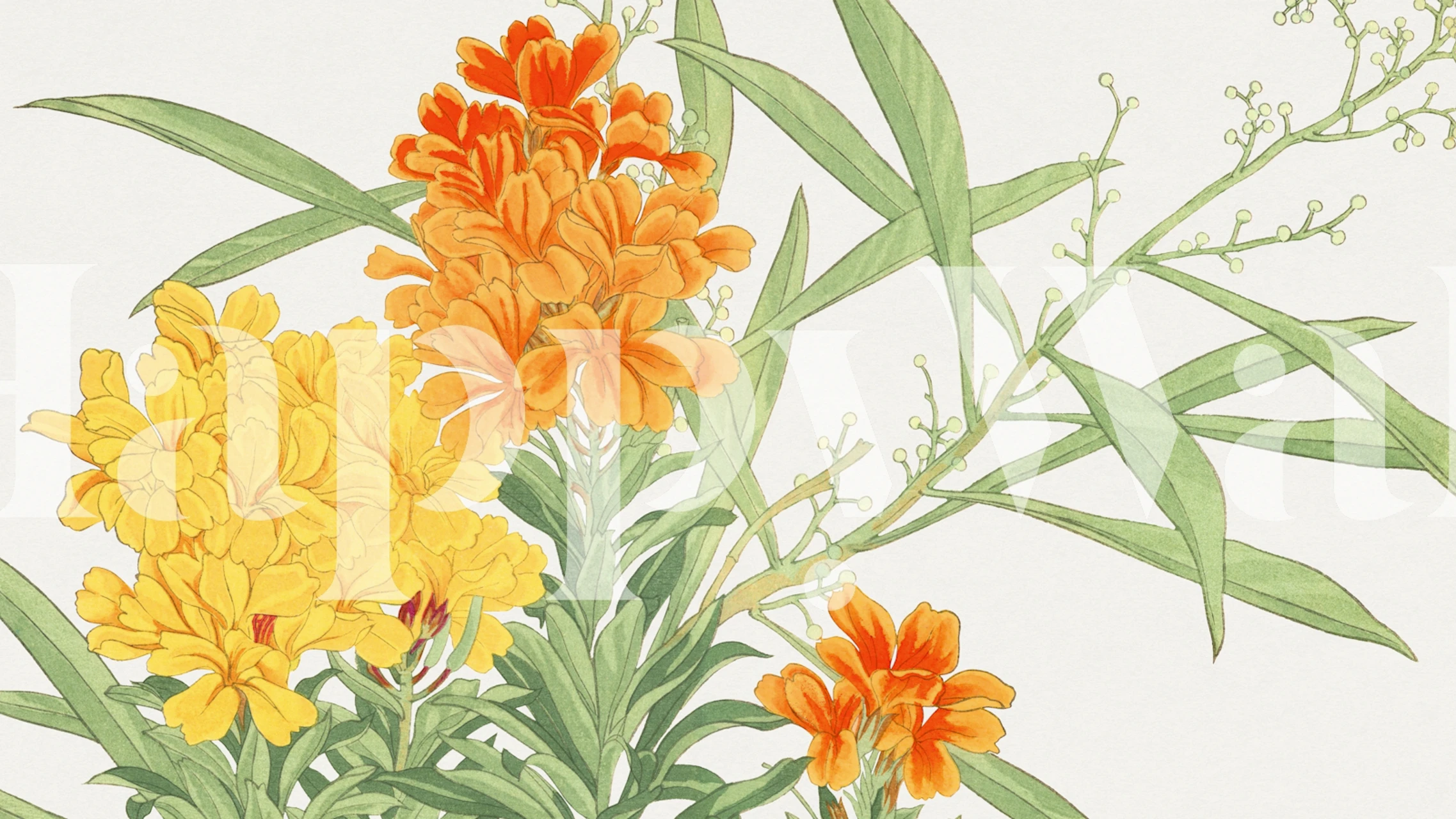 Vibrant yellow and orange flowers with green leaves wallpaper