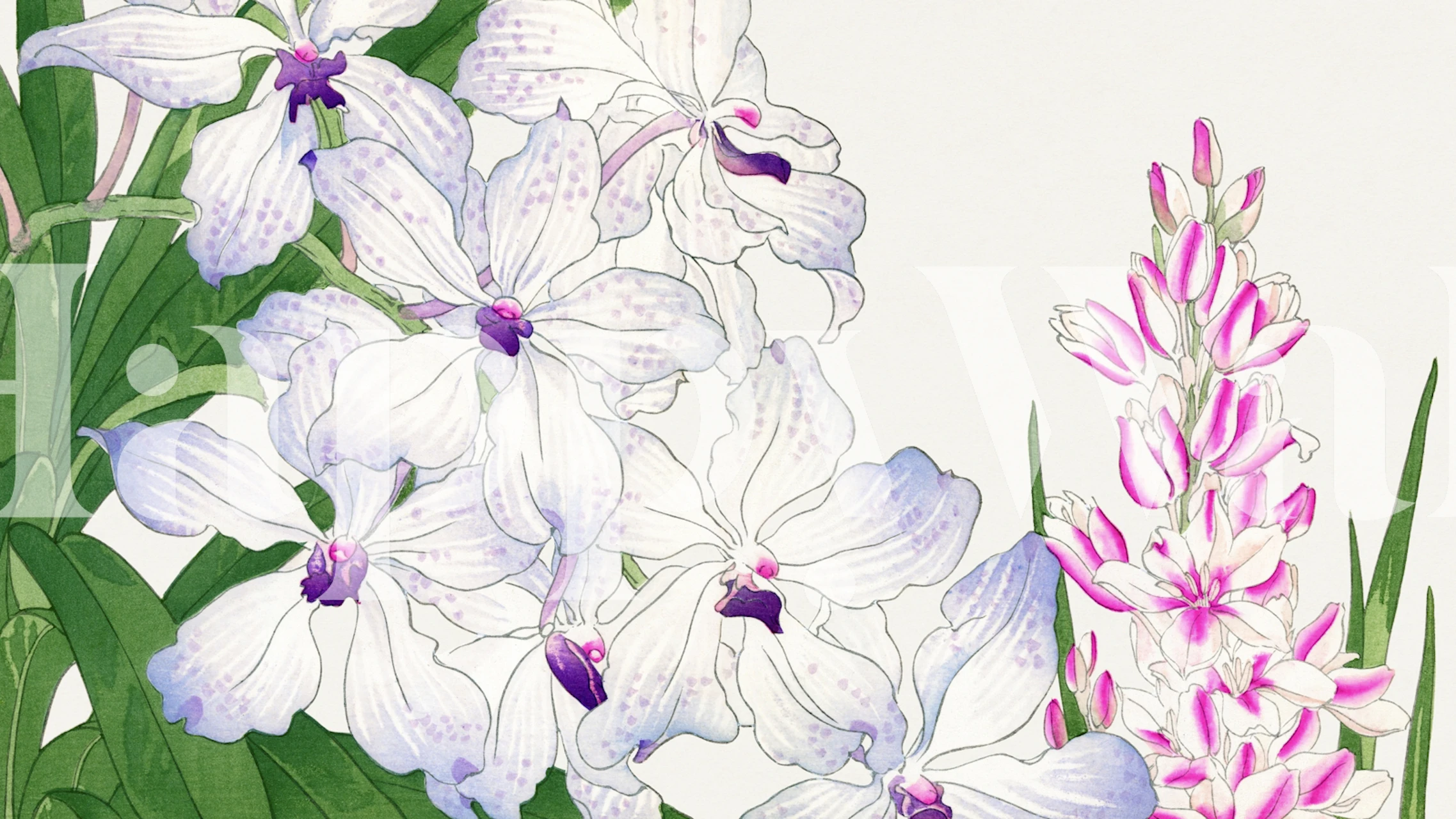 Vintage botanisk veggmaleri med hvite og rosa blomster på en rolig bakgrunn