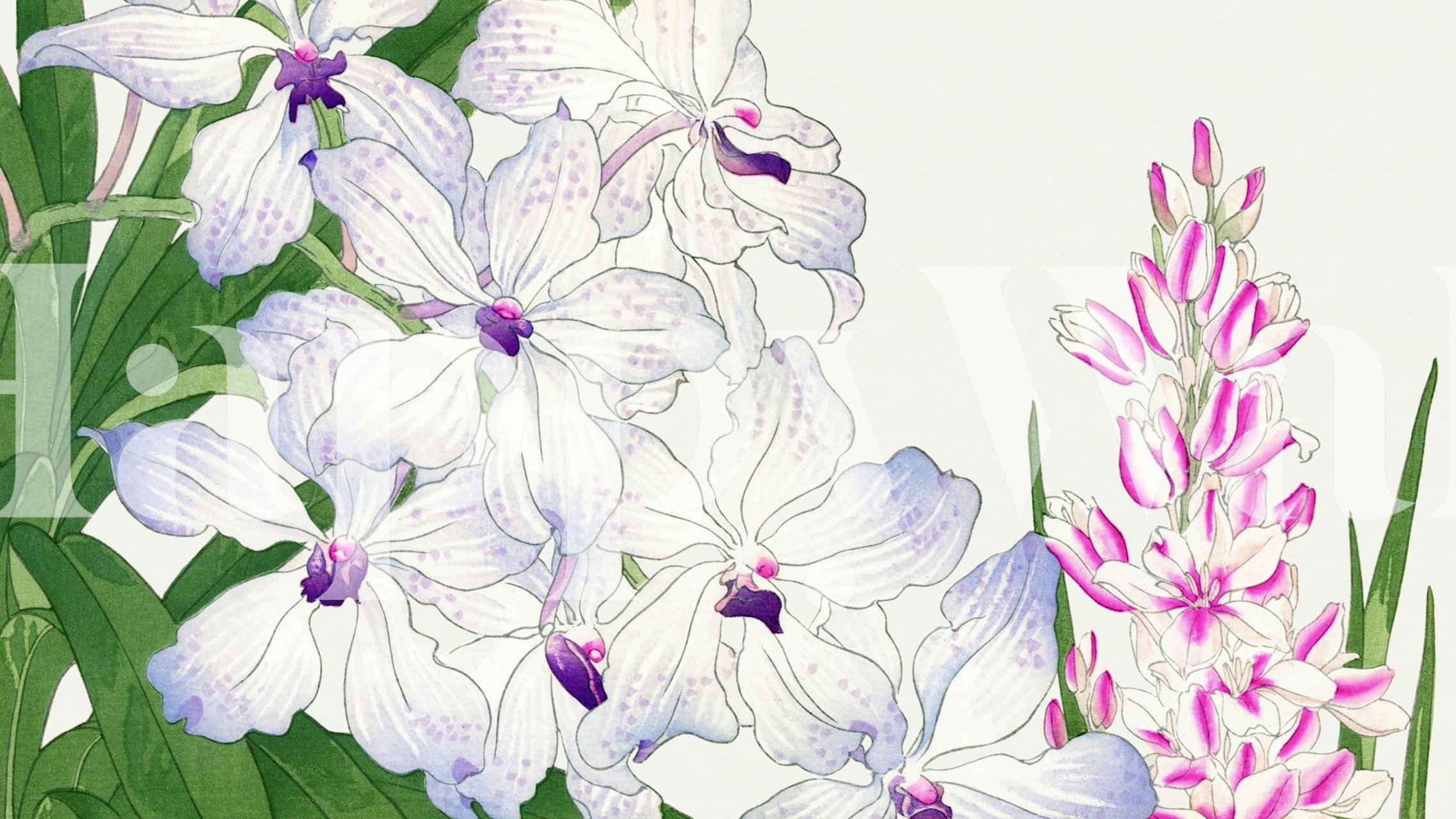 Vintage βοτανικός τοίχος με λευκά και ροζ λουλούδια σε ήρεφο φόντο