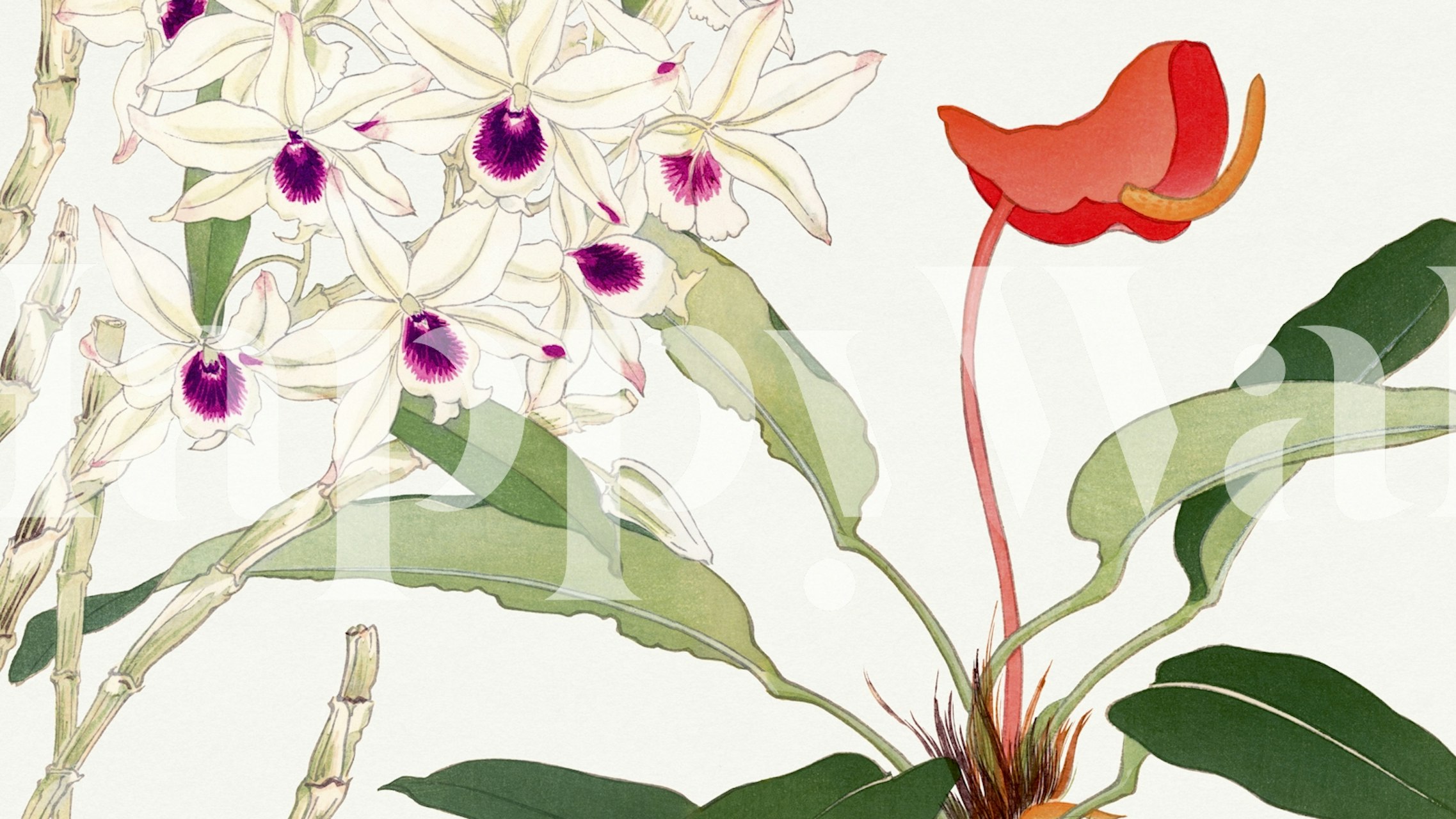 Φλόραλ σχέδιο Zen Vintage Garden