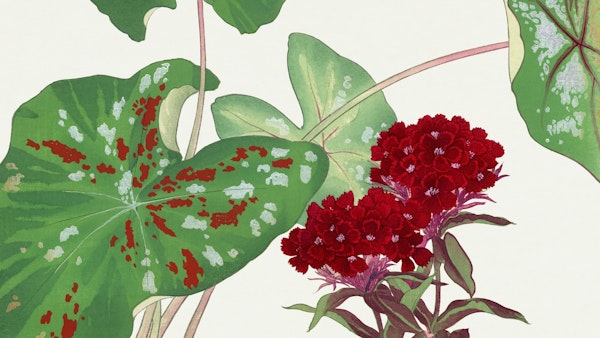 Chique Vintage Garden