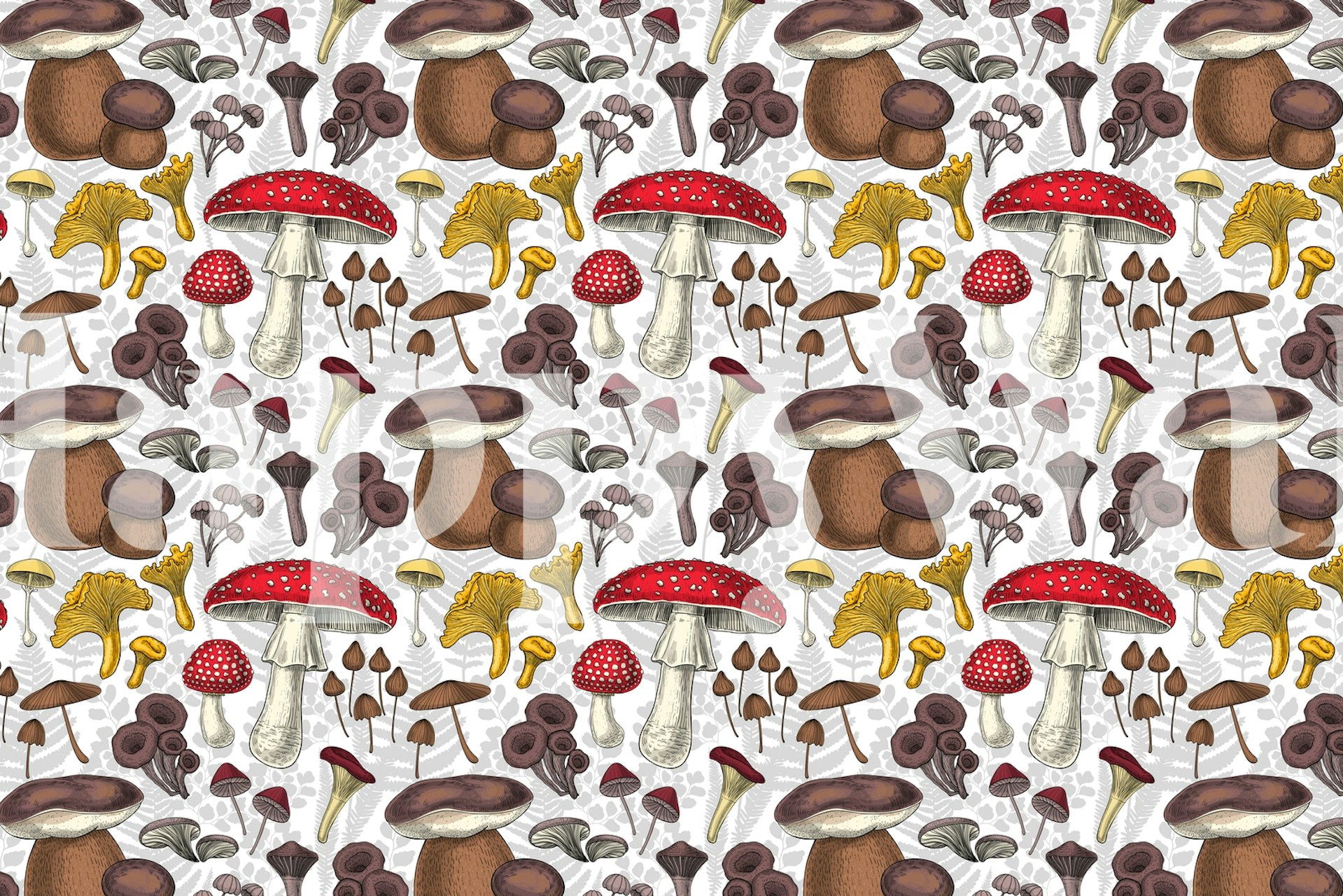 Colorful wild mushroom pattern in red, brown, and yellow on a white background wallpaper